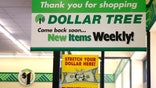 Discount retailer Dollar Tree revealed first-quarter earnings that trumped Wall Street expectations on Thursday and said it sees continued sales growth for the full year.